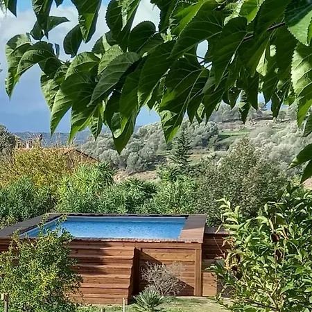 L'alivu *