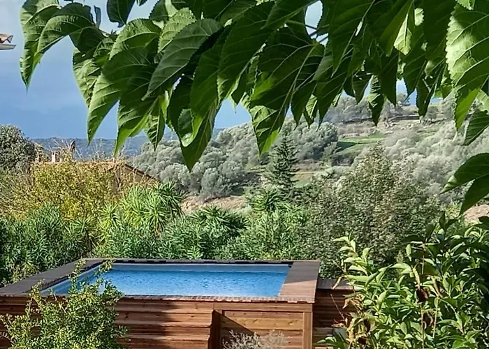 L'alivu *